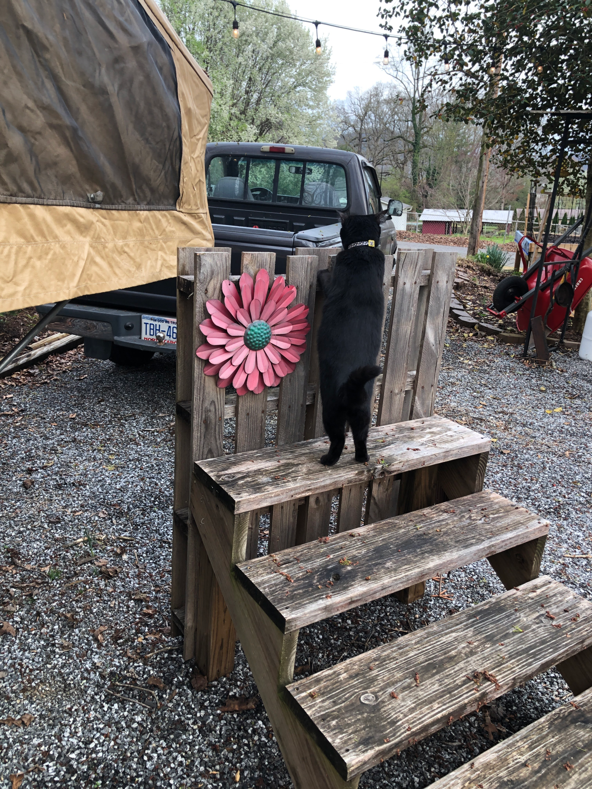 Camping Life – A Missed Opportunity