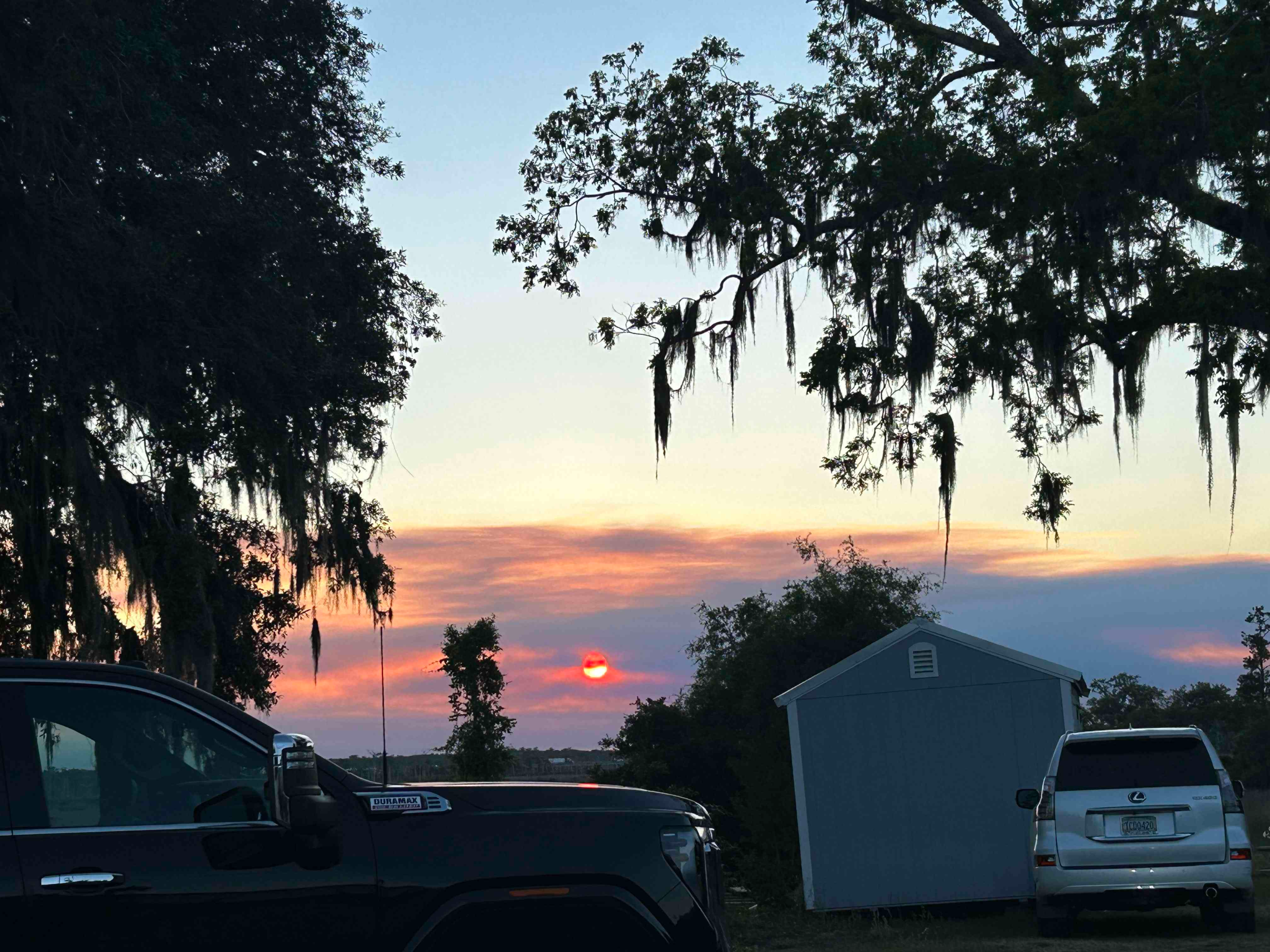 More Adventures: Owls, Dolphins, Sunsets & Smoke-Filled Skies, and Some Elton John in Coastal Georgia